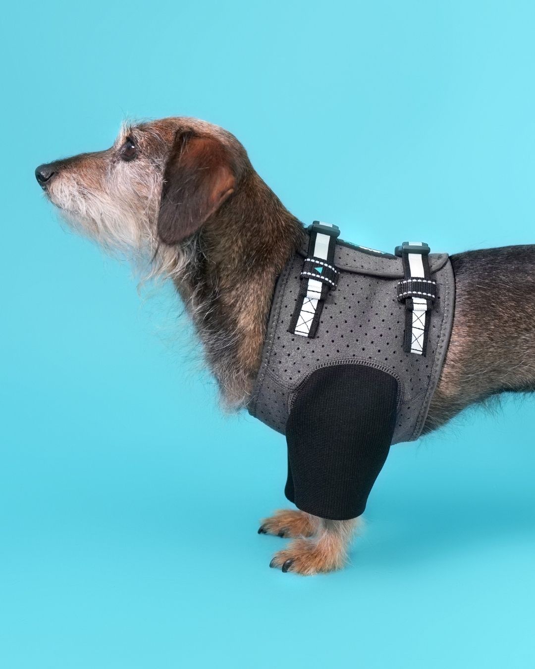Front Leg Recovery Sleeves