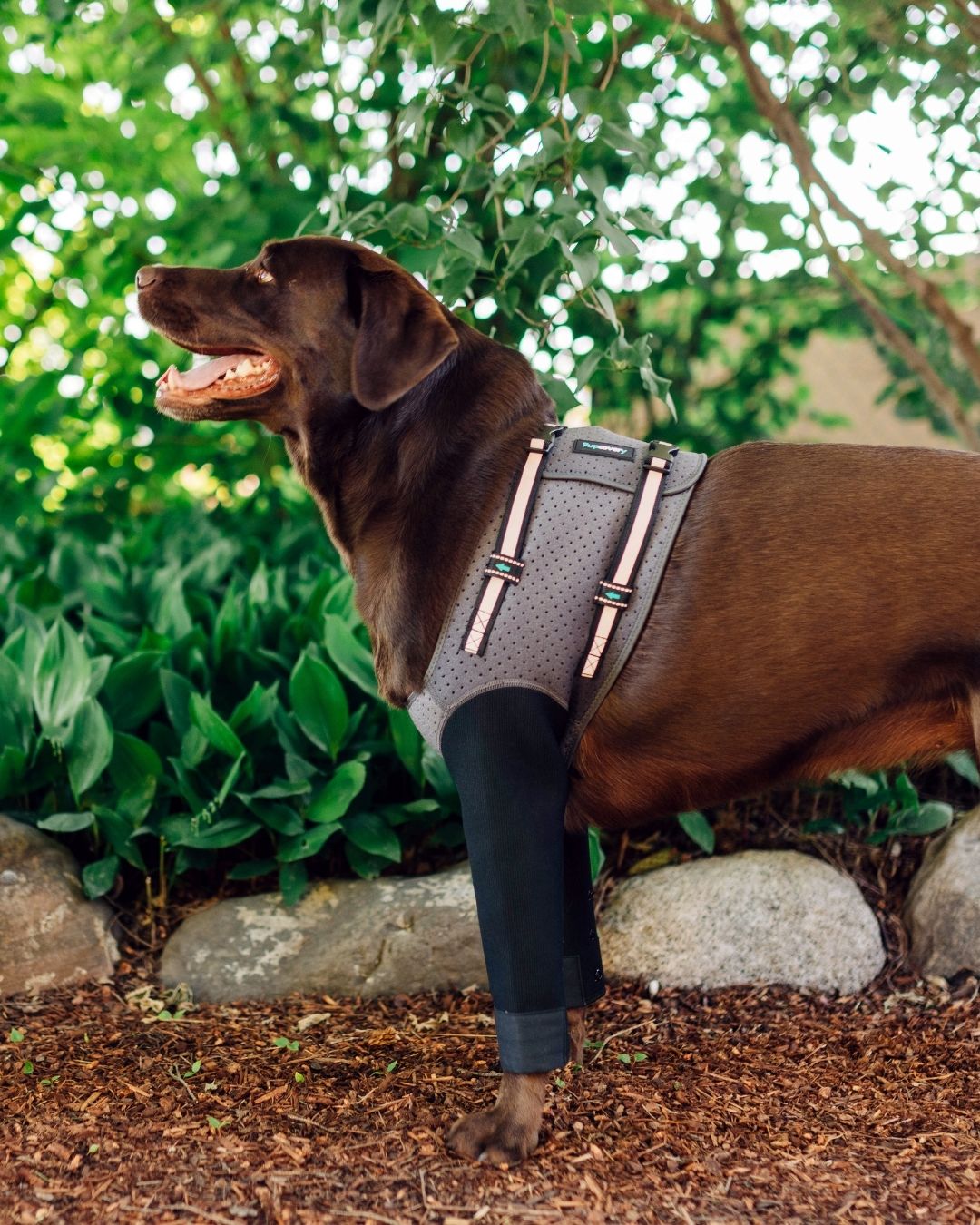 Front Leg Recovery Sleeves
