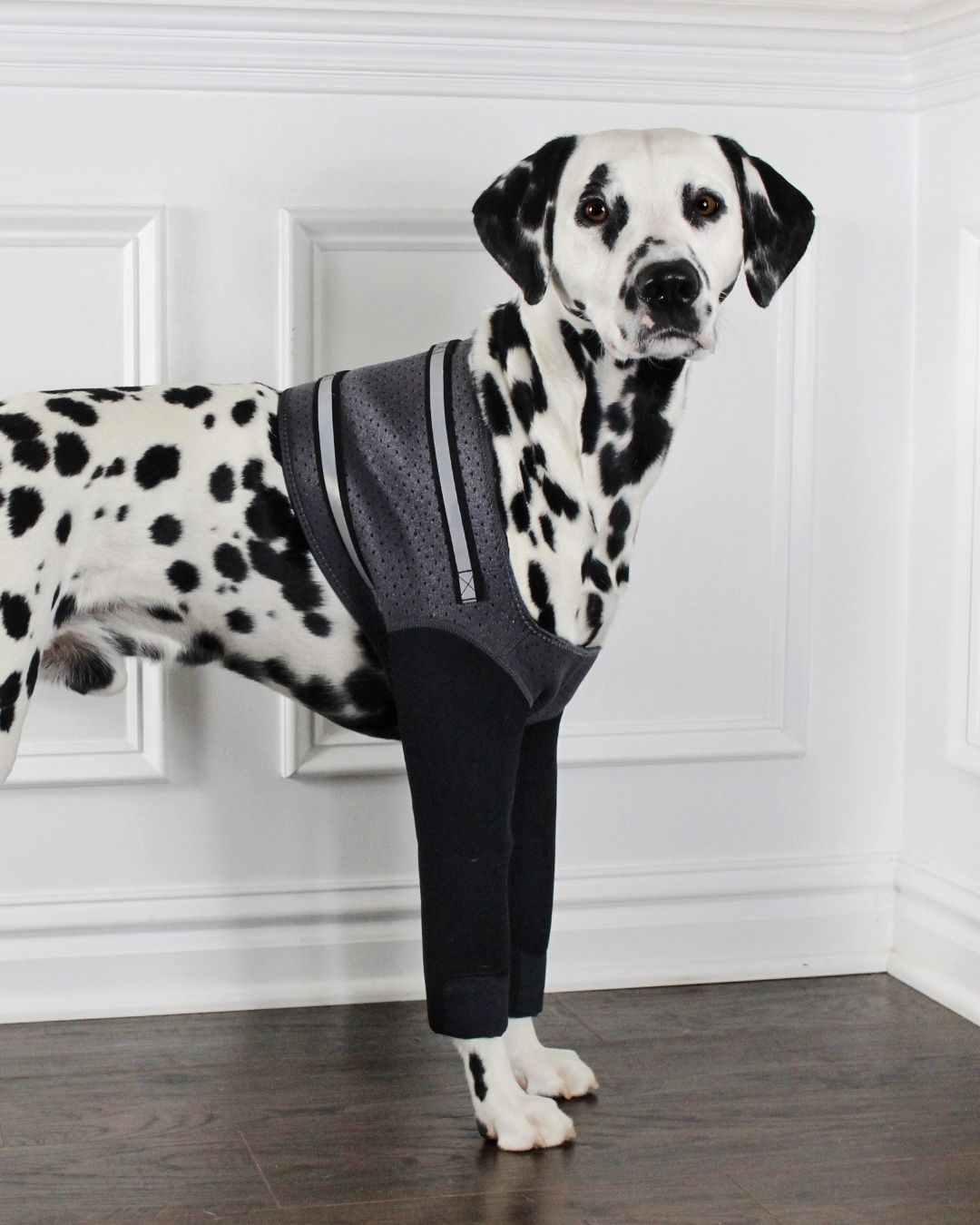 Front Leg Recovery Sleeves