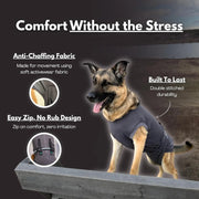 Dog surgery suit in use - comfortable alternative to cone of shame after TPLO and CCL surgery