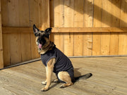 Dog Recovery Suit | Post-Surgery Cone Alternative