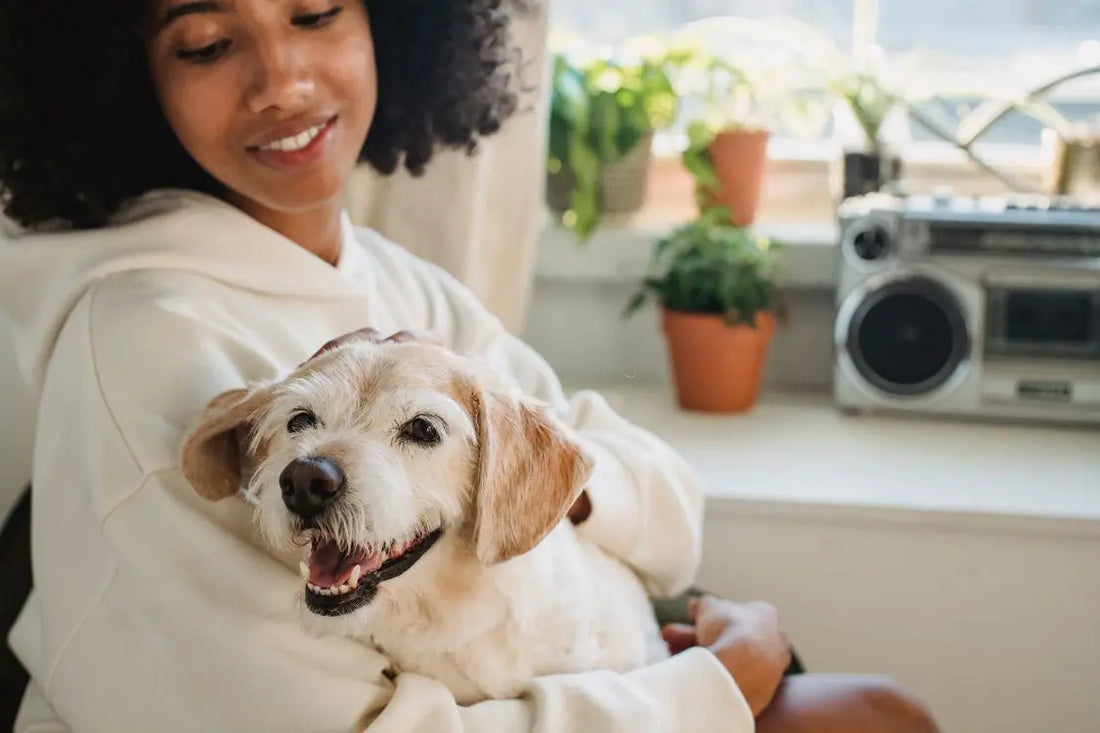 Canine ACL Surgery Recovery: What to Expect Week by Week