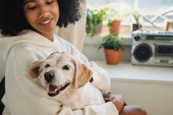 Canine ACL Surgery Recovery: What to Expect Week by Week