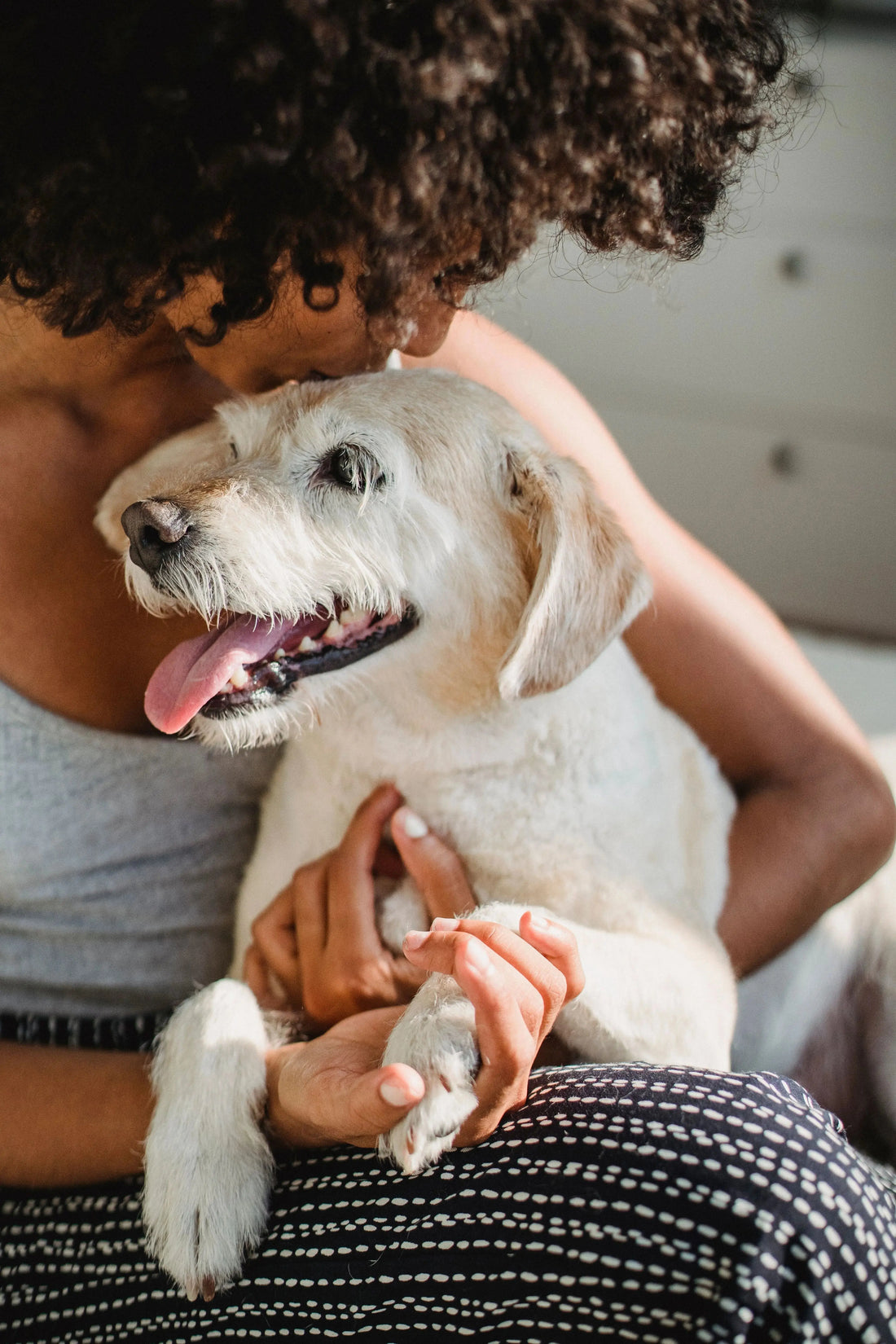 Owner comforting and cuddling their dog during post-surgery recovery at home