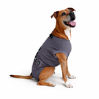 Pupcovery Dog Recovery Suit