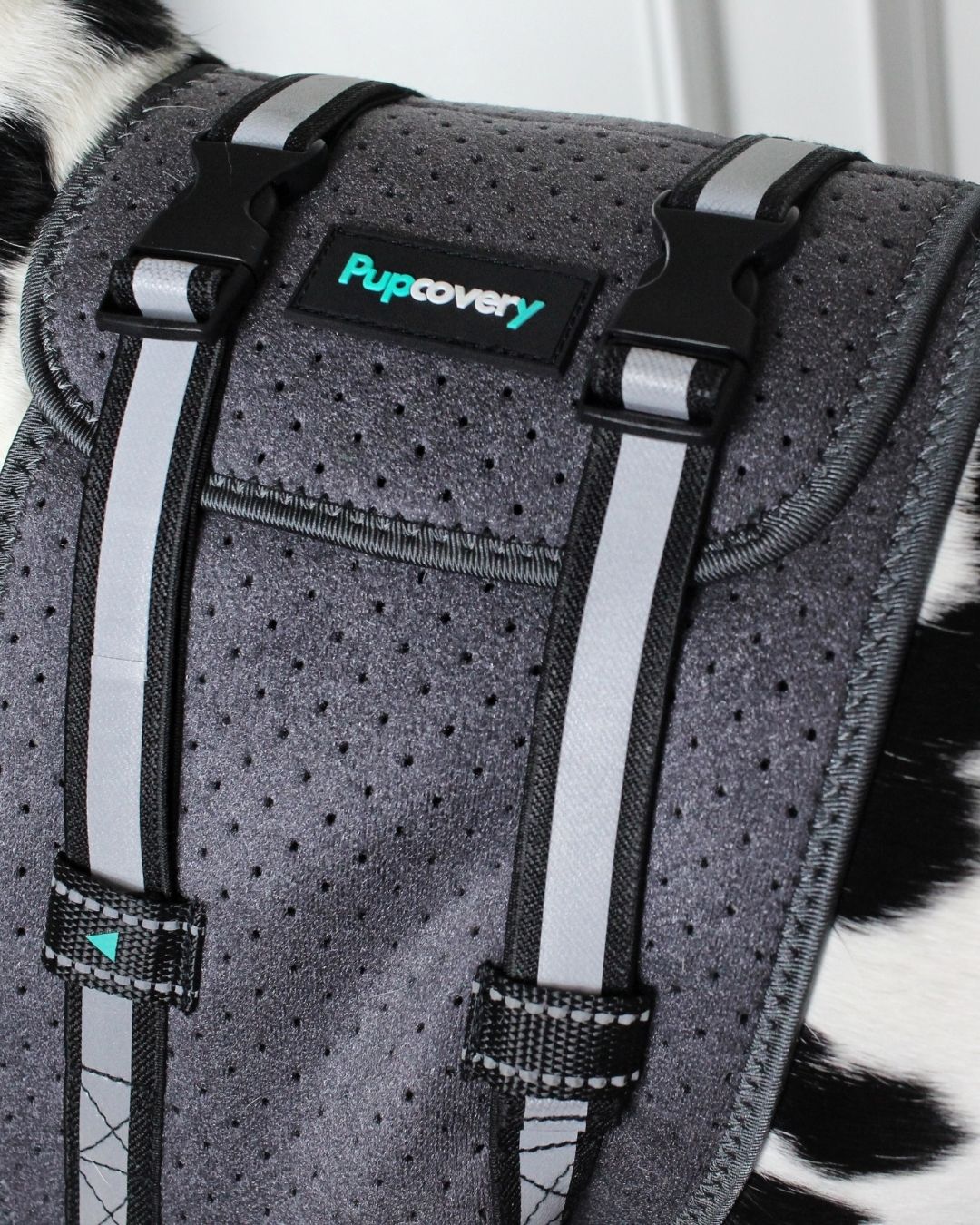 Front Leg Recovery Sleeves - Pupcovery