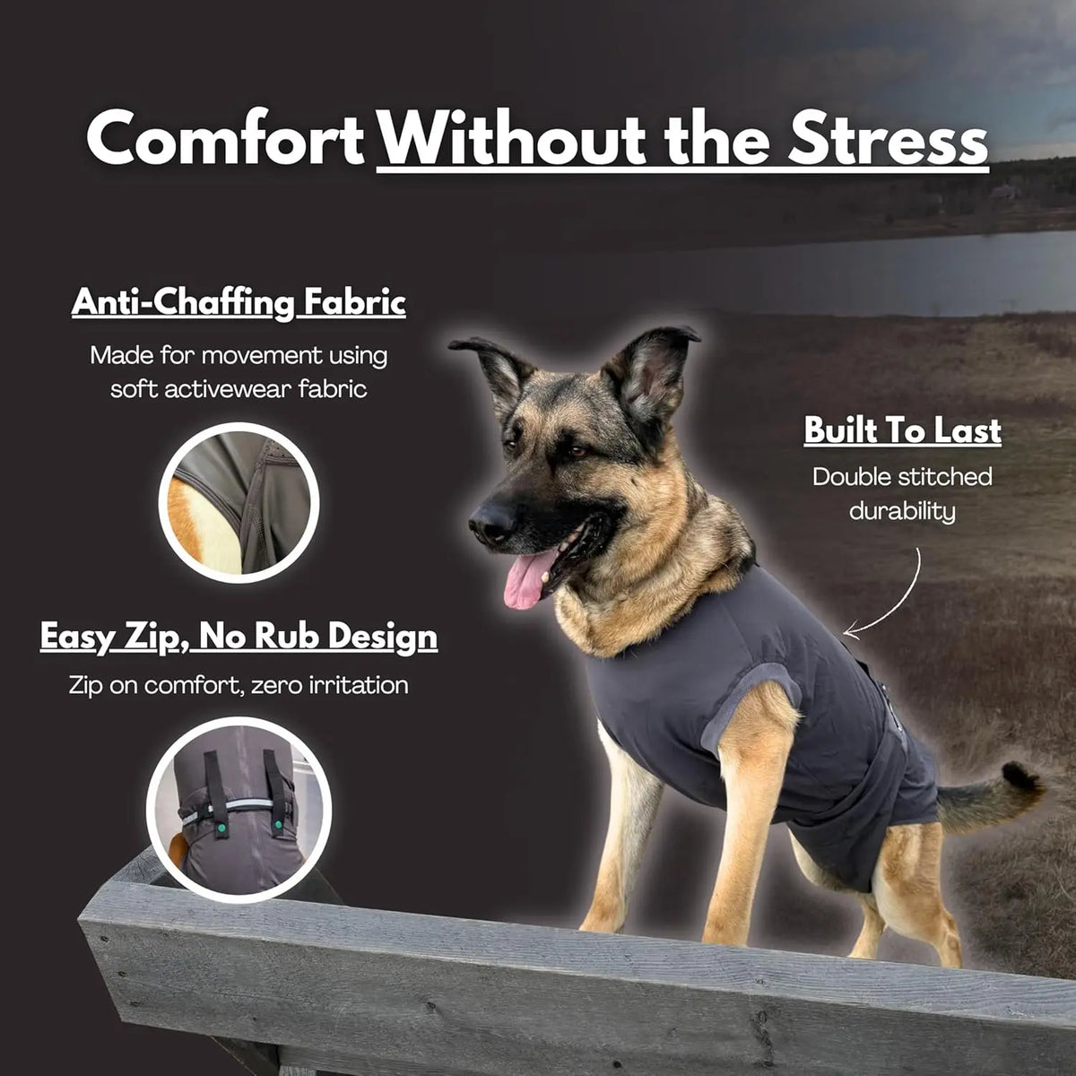 Dog surgery suit in use - comfortable alternative to cone of shame after TPLO and CCL surgery