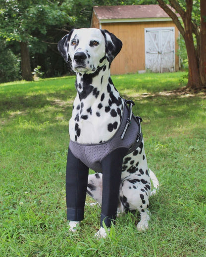 Front Leg Recovery Sleeves