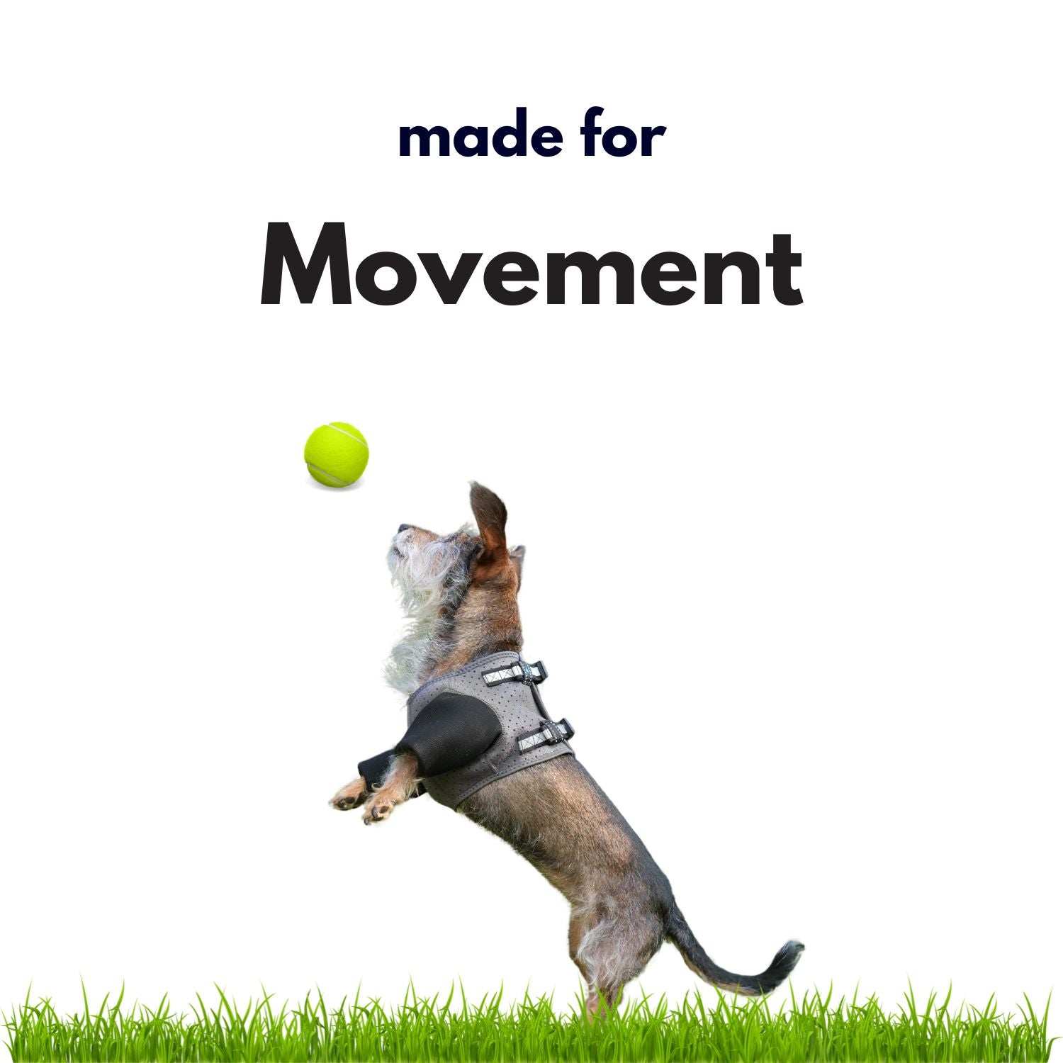 Amazon Listing Images (1) copy 5.jpg__PID:f1ea5b4c-20a2-41ec-950b-48d79352e25d