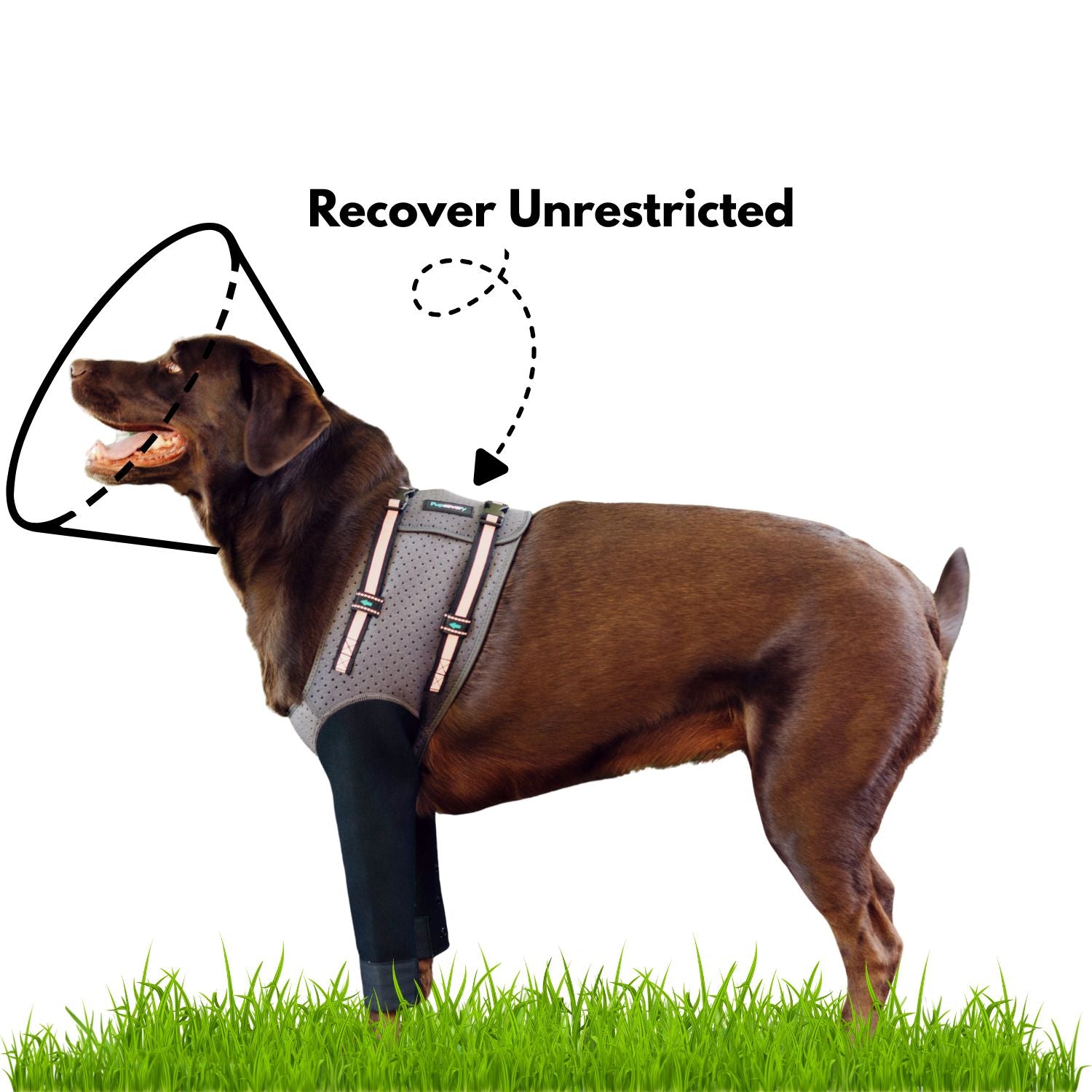 Front Leg Recovery Sleeves - Pupcovery