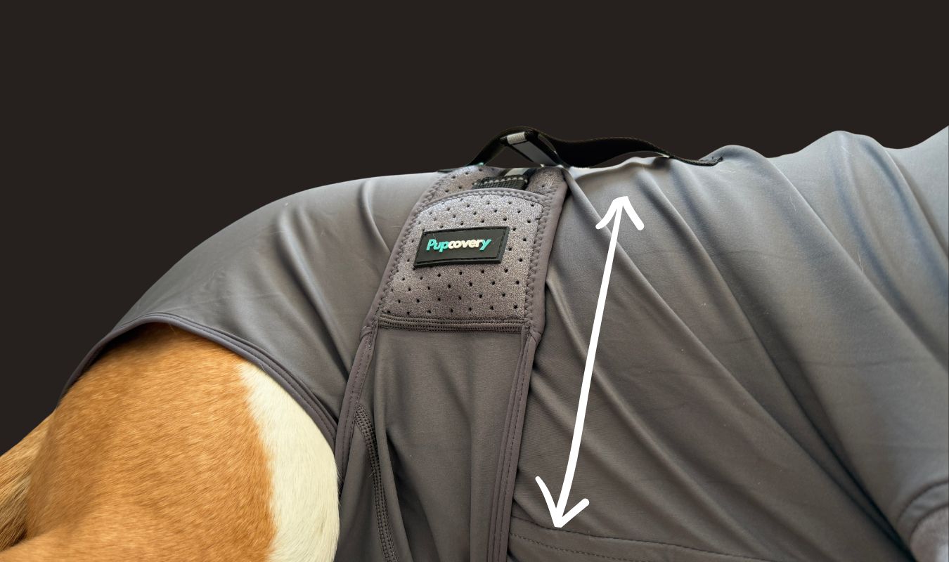 Close-up of the Pupcovery recovery suit stretch fabric and adjustable strap system