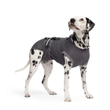 Dog Recovery Suit | Post-Surgery Cone Alternative