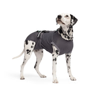 Dog Recovery Suit | Post-Surgery Cone Alternative