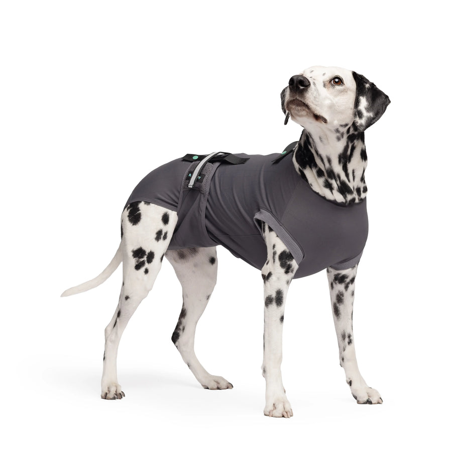 Dog Recovery Suit | Post-Surgery Cone Alternative