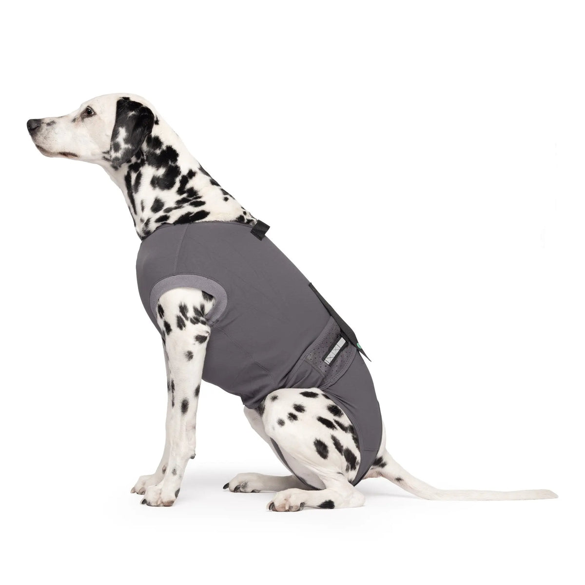 Dog Recovery Suit | Post-Surgery Cone Alternative