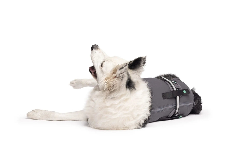 Dog Recovery Suit | Post-Surgery Cone Alternative