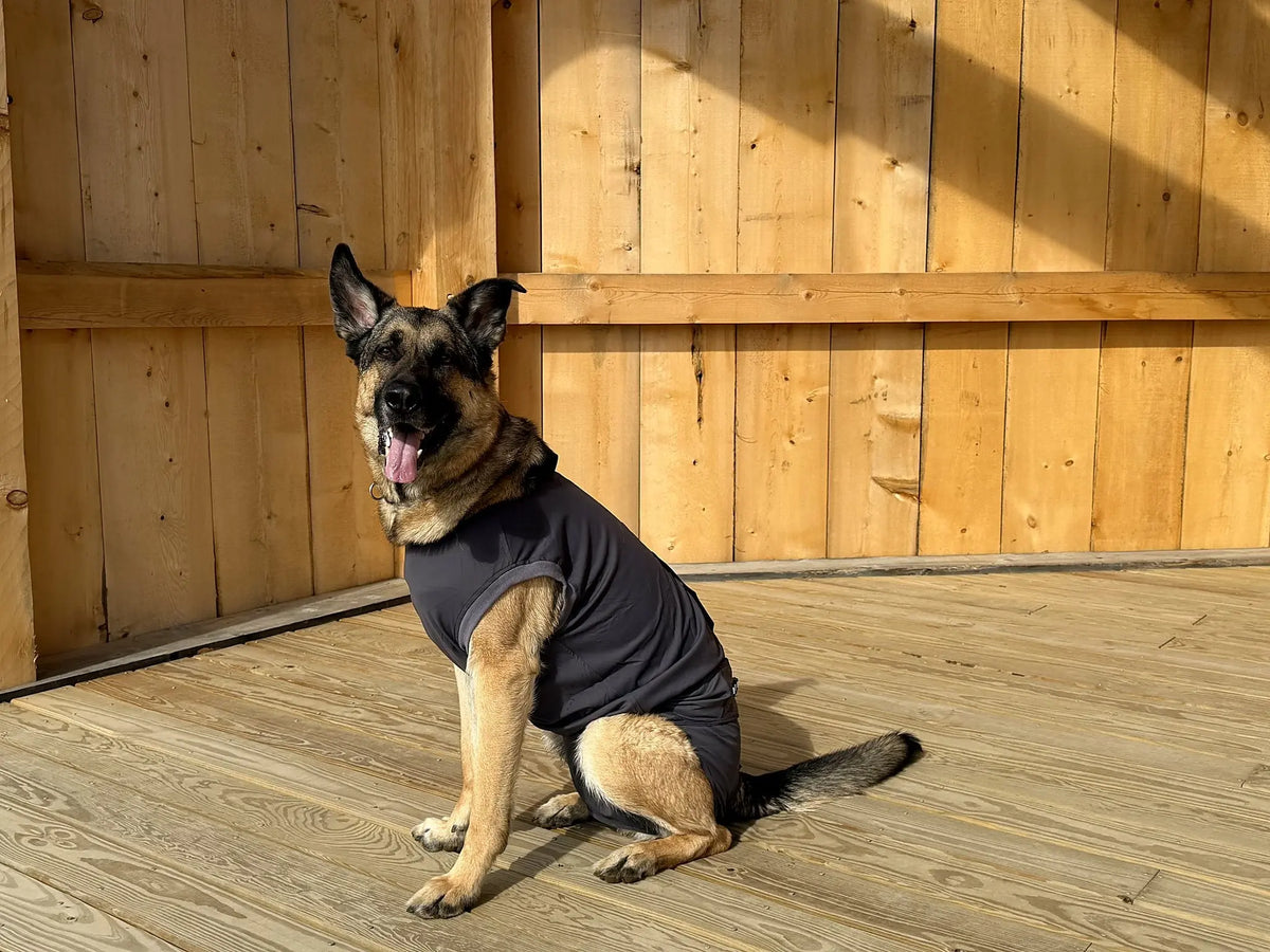 Dog Recovery Suit | Post-Surgery Cone Alternative
