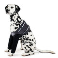 Front Leg Recovery Sleeves - For Hot Spots & Wounds Pupcovery
