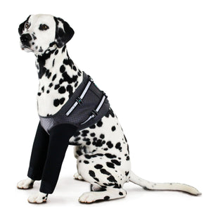 Pupcovery front leg recovery sleeves