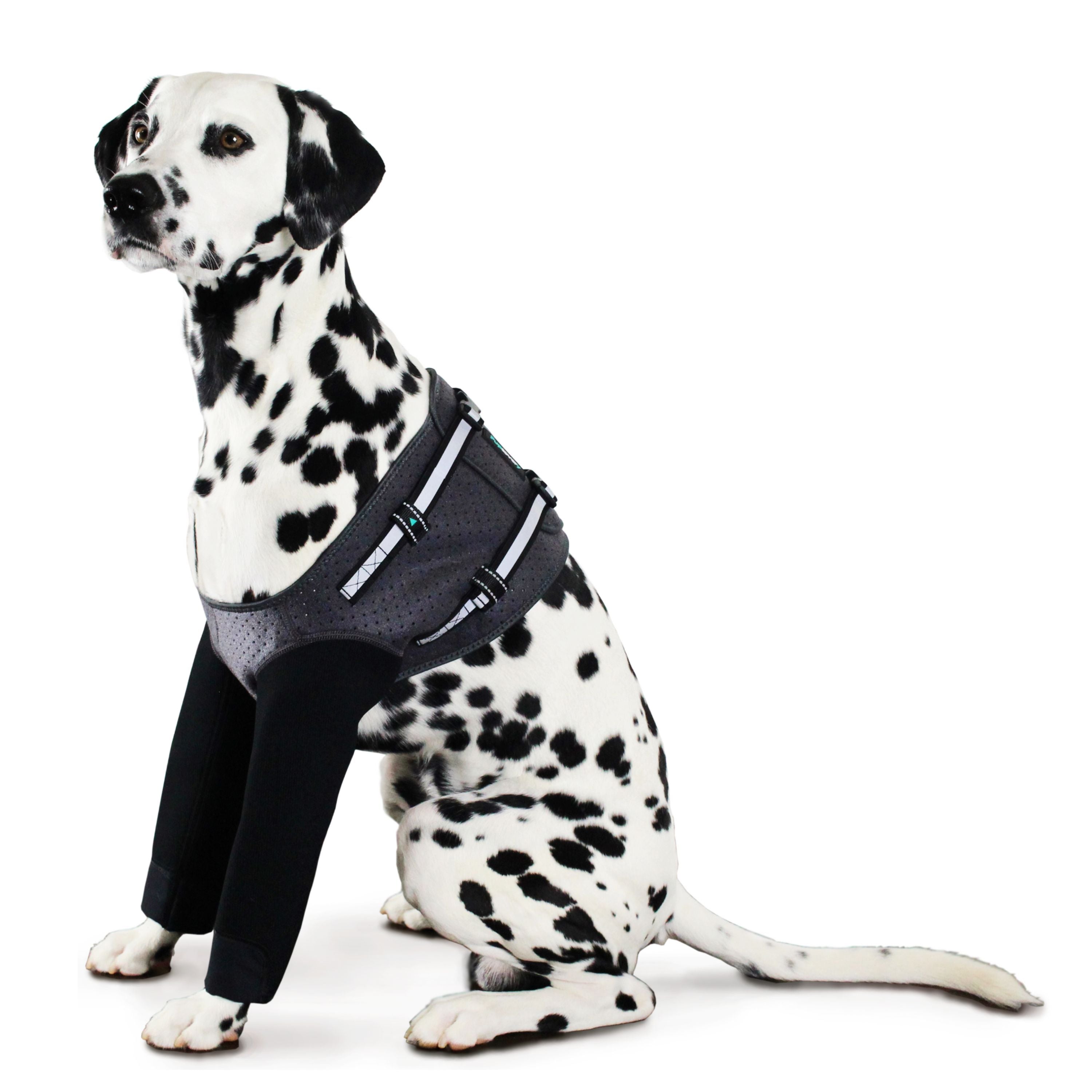 Front Leg Recovery Sleeves - For Hot Spots & Wounds
