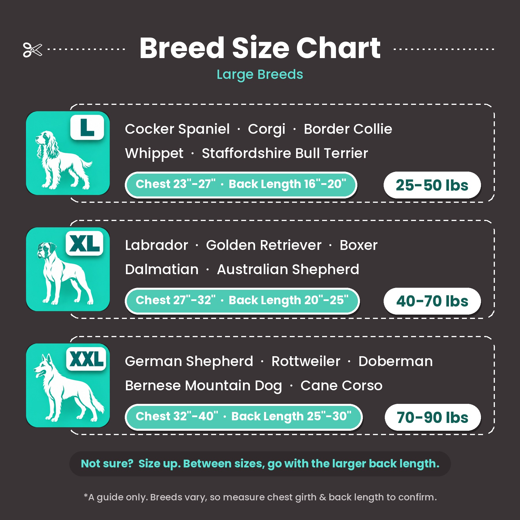 Breed size chart, large breeds. L fits Cocker Spaniel, Corgi, Border Collie, Whippet and Staffordshire Bull Terrier, chest 23 to 27 inches, back length 16 to 20 inches, 25 to 50 pounds. XL fits Labrador, Golden Retriever, Boxer, Dalmatian and Australian Shepherd, chest 27 to 32 inches, back length 20 to 25 inches, 40 to 70 pounds. XXL fits German Shepherd, Rottweiler, Doberman, Bernese Mountain Dog and Cane Corso, chest 32 to 40 inches, back length 25 to 30 inches, 70 to 90 pounds.