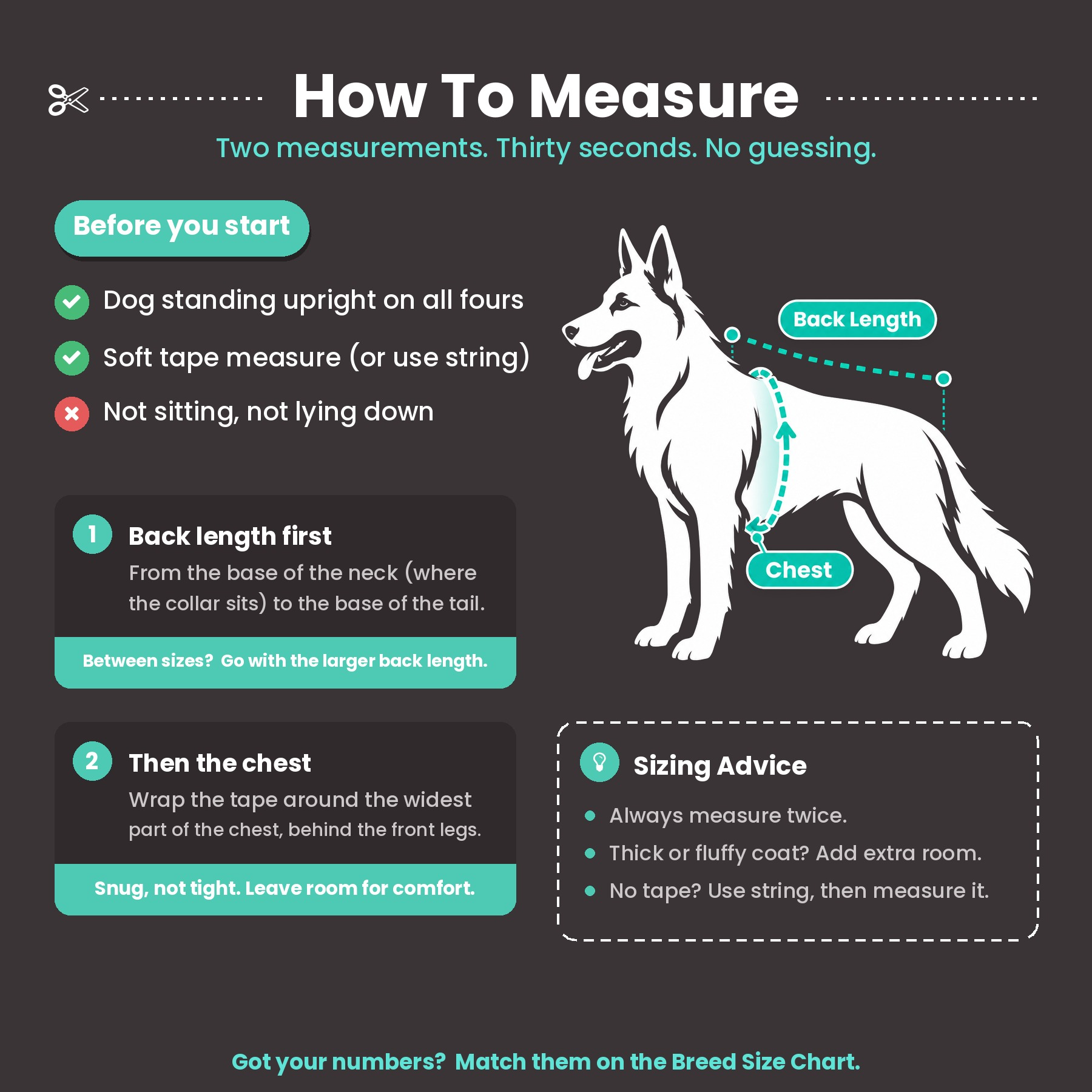 How to measure your dog. Have them standing on all fours, not sitting or lying down, and use a soft tape measure or a piece of string. Back length: from the base of the neck where the collar sits, to the base of the tail. Between sizes, go with the larger back length. Chest: wrap the tape around the widest part of the chest behind the front legs, snug but not tight. Measure twice, and allow extra room for a thick or fluffy coat.
