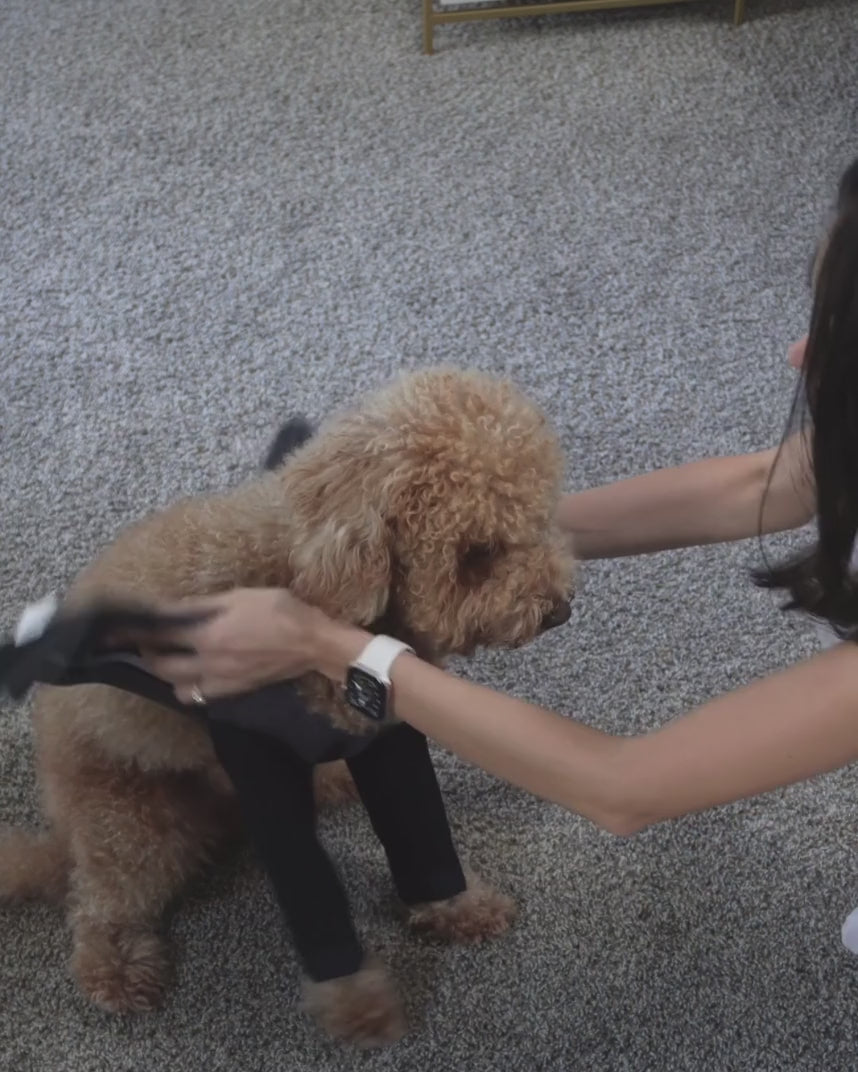 Front Leg Recovery Sleeves - For Hot Spots & Wounds