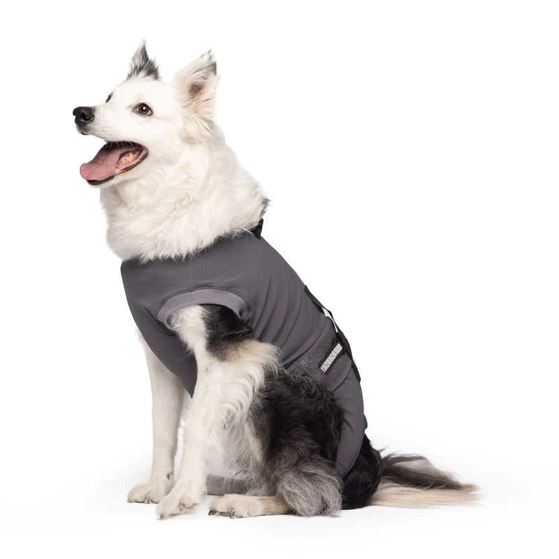 Pupcovery Dog Recovery Suit, post-surgery cone alternative covering chest and abdomen