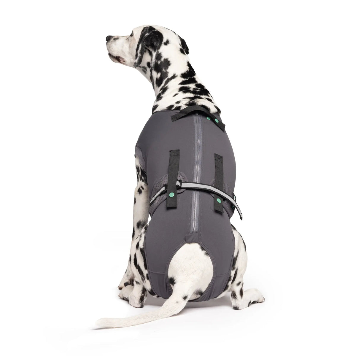 Dog Recovery Suit | Post-Surgery Cone Alternative
