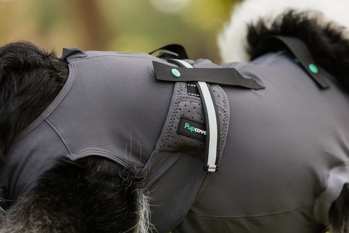 Dog Recovery Suit | Post-Surgery Cone Alternative