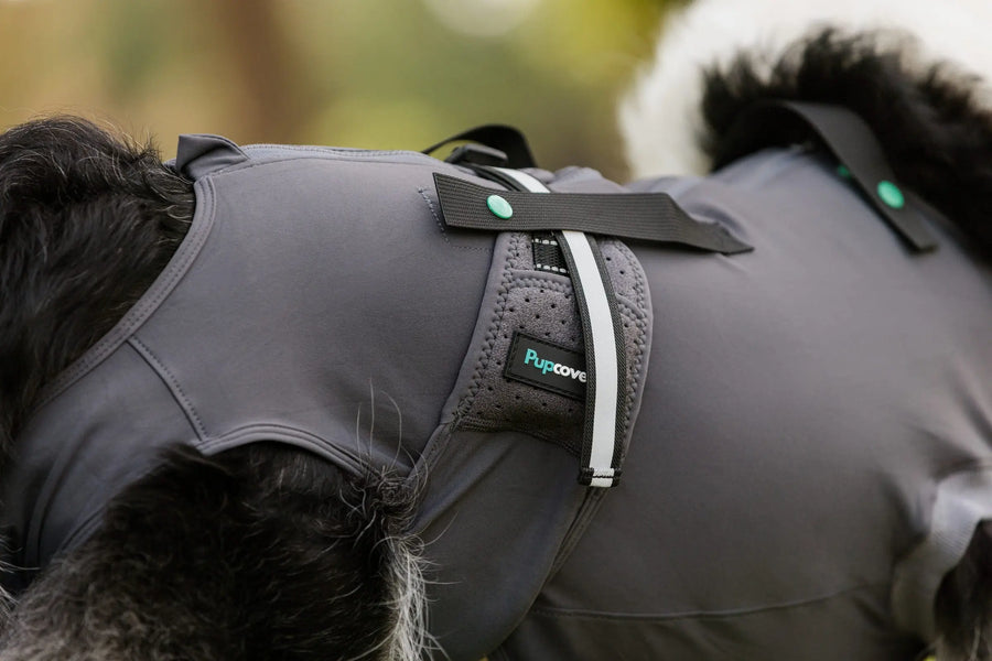 Dog Recovery Suit | Post-Surgery Cone Alternative